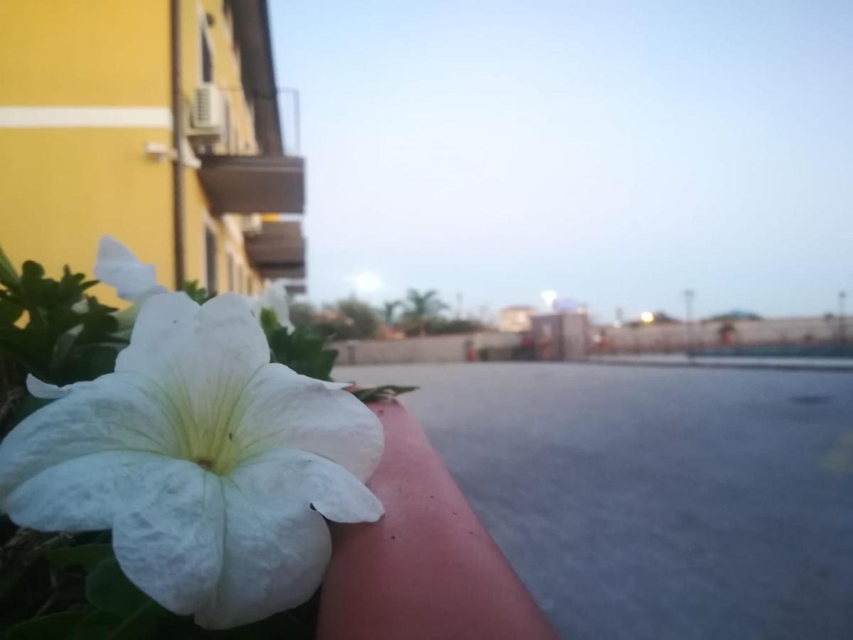 I Colori Dell'Etna Bed & Breakfast San Giovanni La Punta Ngoại thất bức ảnh